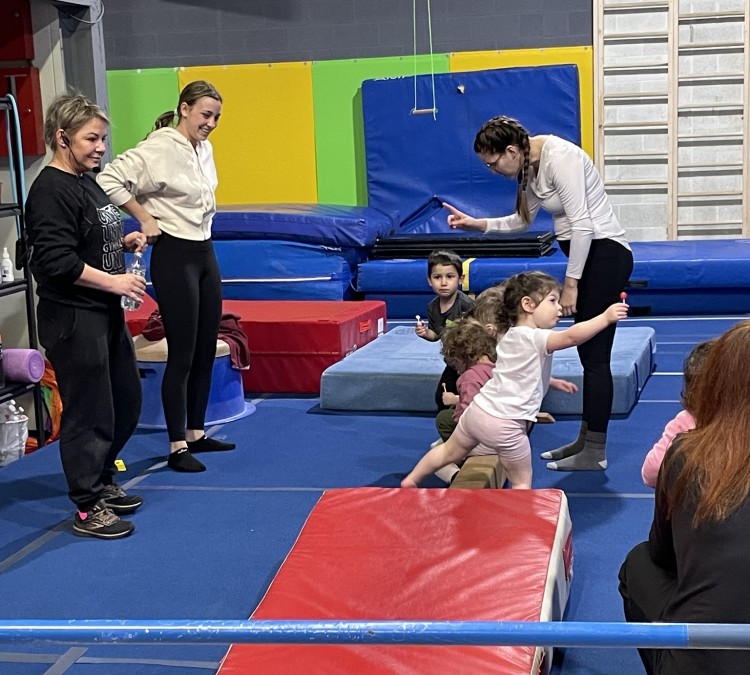 Gymnastics and Parkour School (Beachwood,&nbspOH)